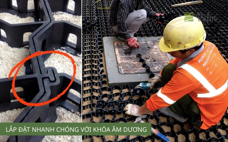 Vỉ Trồng Cỏ Chịu Lực | Tất Tần Tật Về LợiÍch, Ứng Dụng Và Cách Lắp Đặt